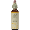 Wild Oat Bach Flower Remedy